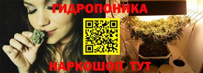 прущие крисы Жуковский