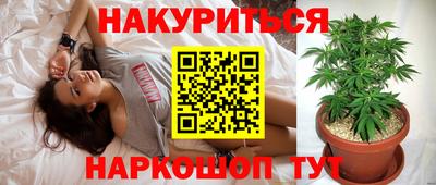 прущие крисы Жуковский