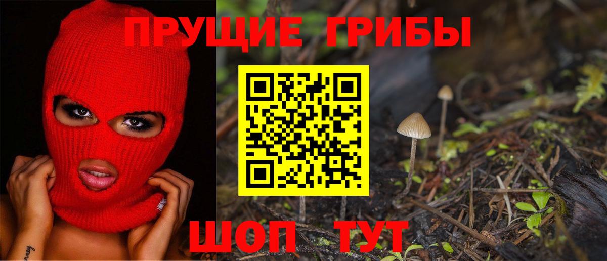 Миасс  Псилоцибиновые грибы мухоморы  Псилоцибиновые грибы Psilocybine cubensis  Вход с VPN 